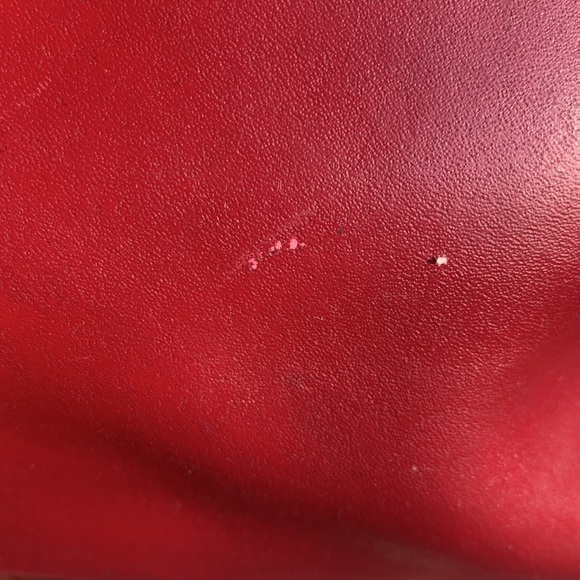 PLUM RED LONGCHAMP MINIMAL BEAUTY: crossbody, spacious, feminine. Leather bag. - Picture 10 of 17